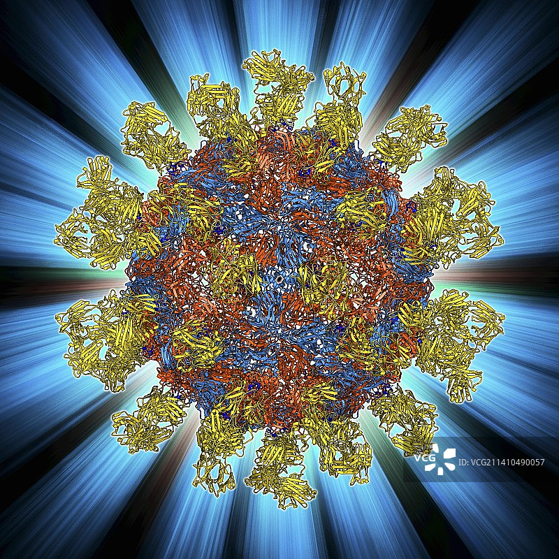 口蹄疫病毒图片素材