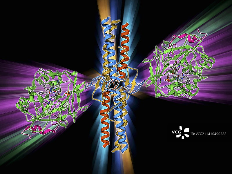 凝血酶与纤维蛋白原复合物图片素材