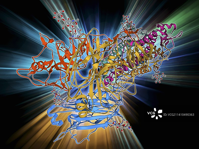 H5N1血凝素蛋白亚基图片素材