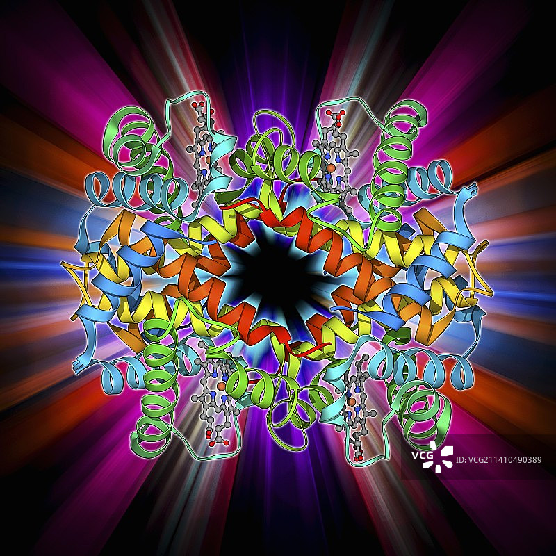 血红蛋白S分子模型图片素材