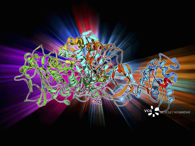 细菌生物膜酶图片素材