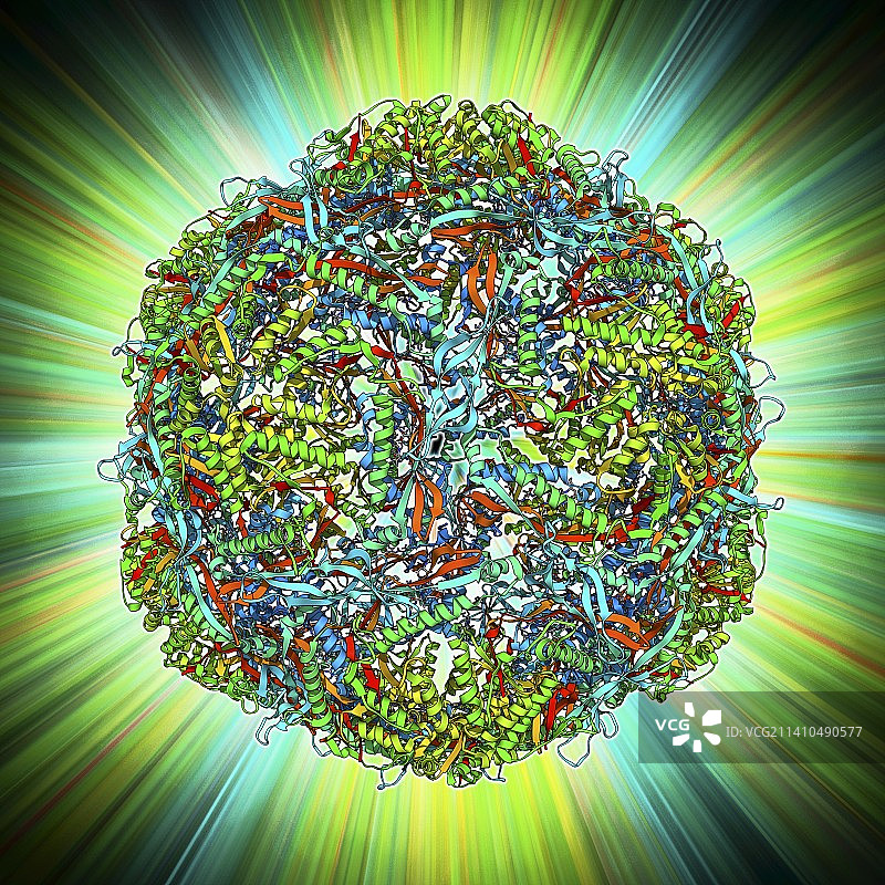 细菌纳米区室图片素材