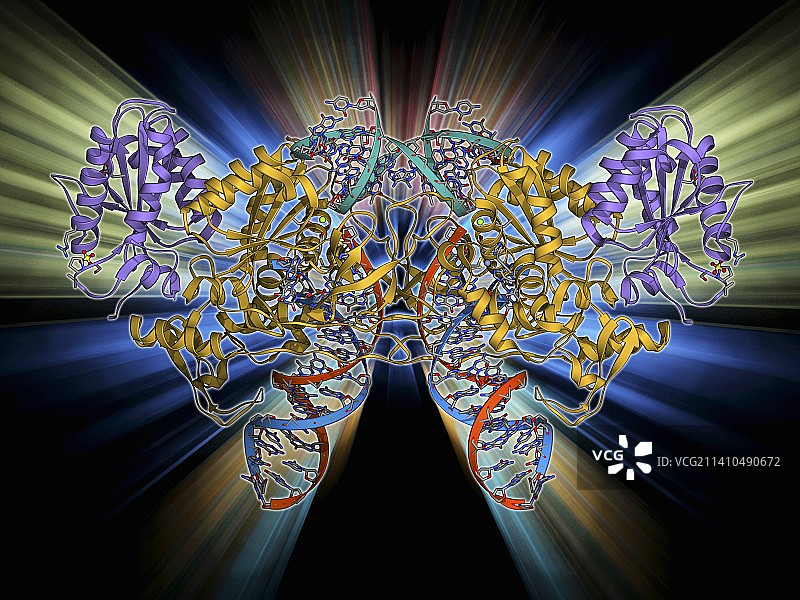 逆转录病毒整合酶分子图片素材