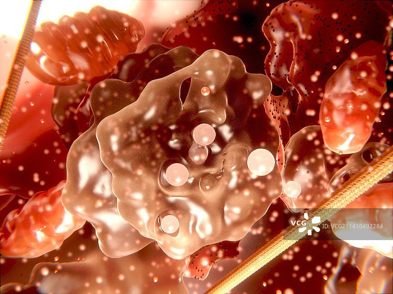 细胞器艺术作品图片素材