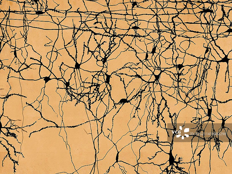 神经元网络，艺术作品图片素材