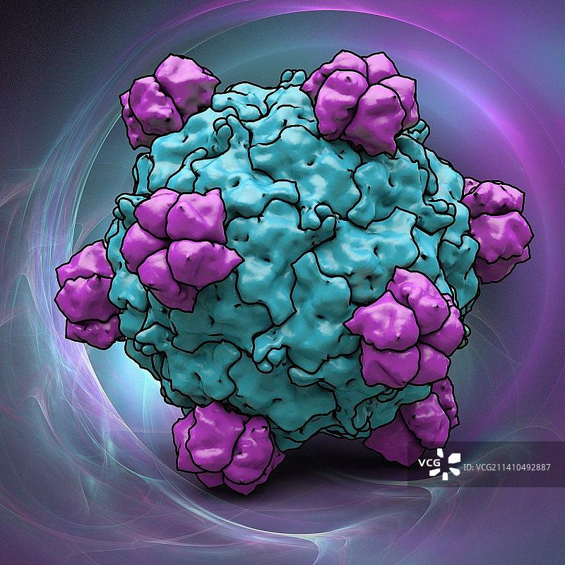 噬菌体α-3艺术品图片素材