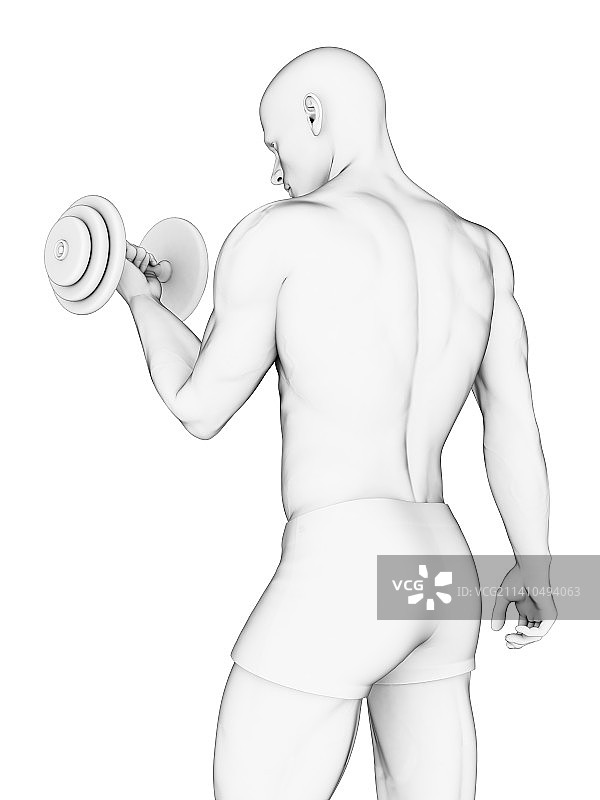 使用哑铃锻炼的人图片素材