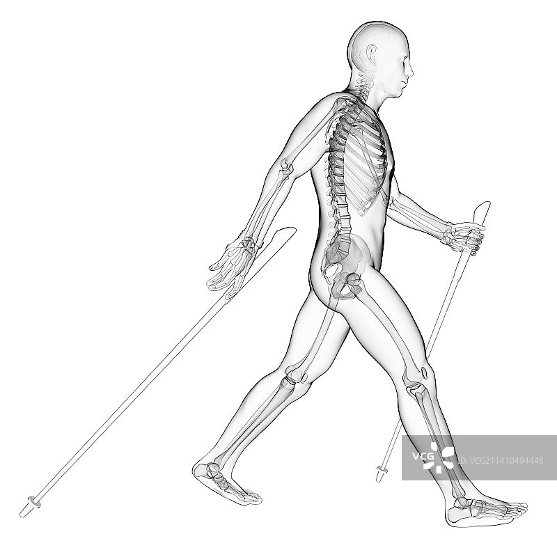 北欧健走者艺术作品图片素材