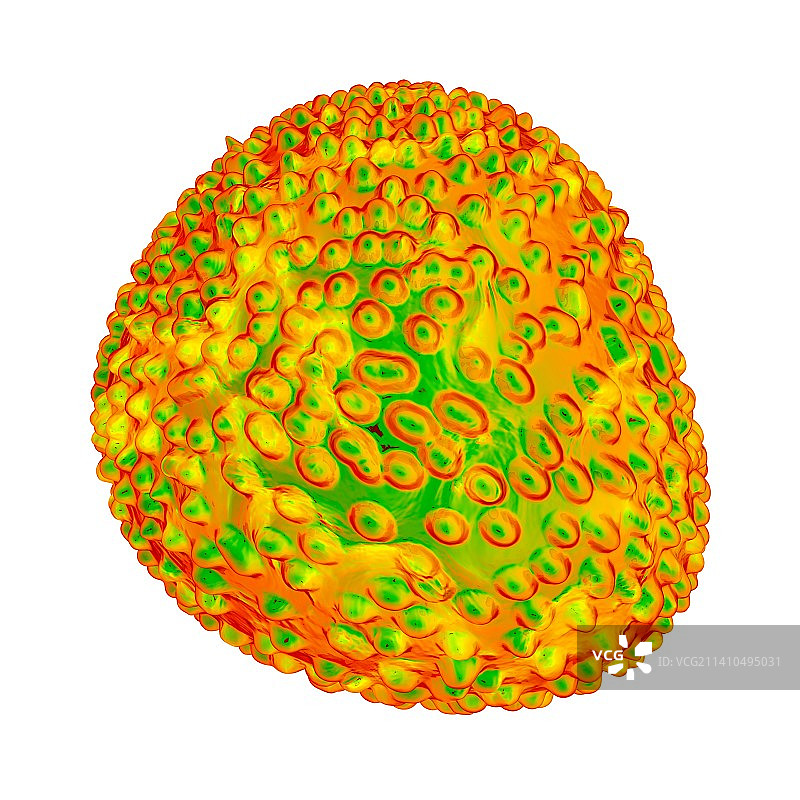 黄病毒，艺术作品图片素材