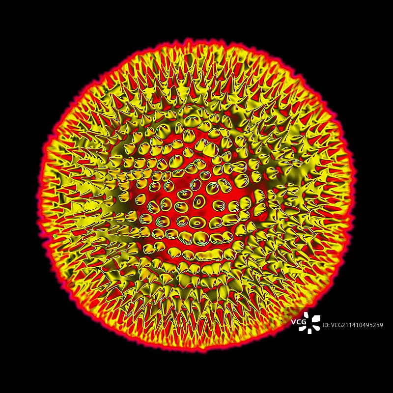 风疹病毒，艺术作品图片素材