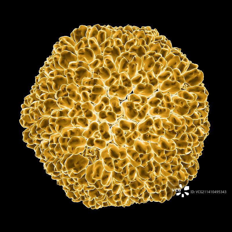 人造卫星病毒噬菌体图片素材