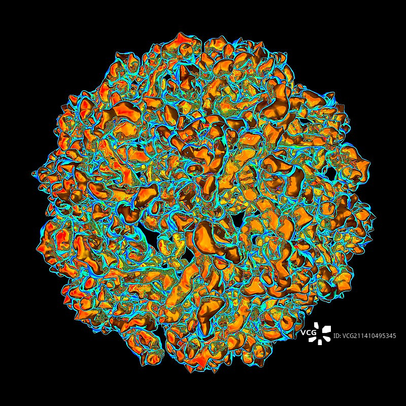 西尼罗河病毒艺术图图片素材