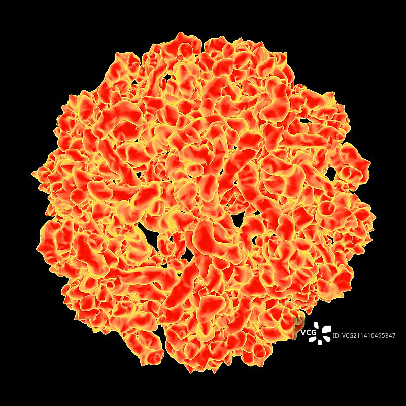 西尼罗河病毒艺术图图片素材