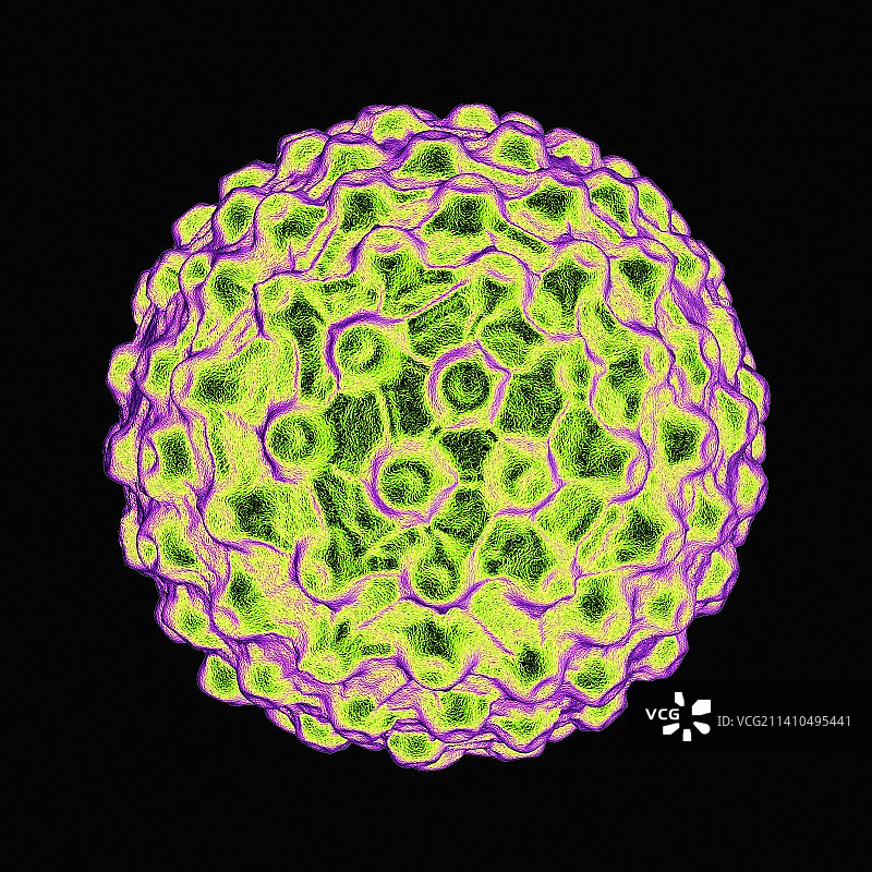 单纯疱疹病毒图片素材