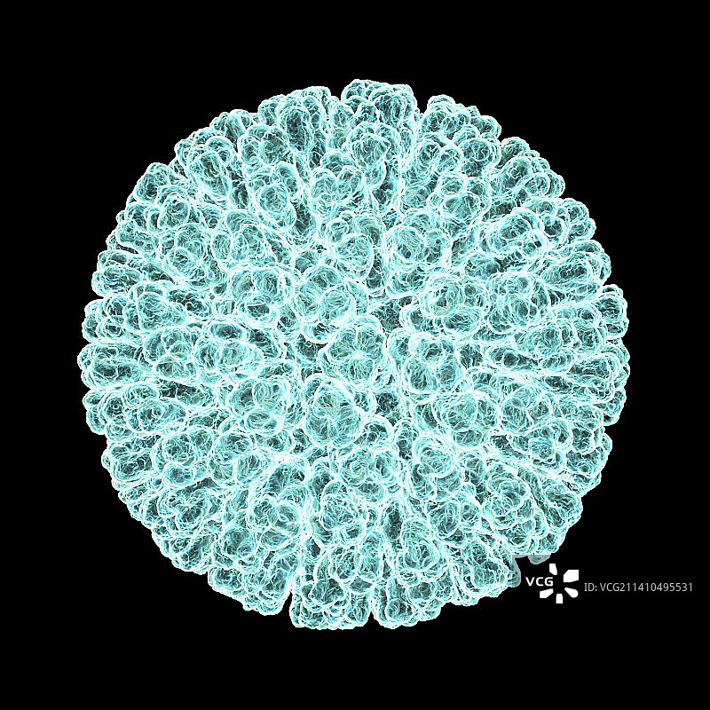 轮状病毒，艺术作品图片素材