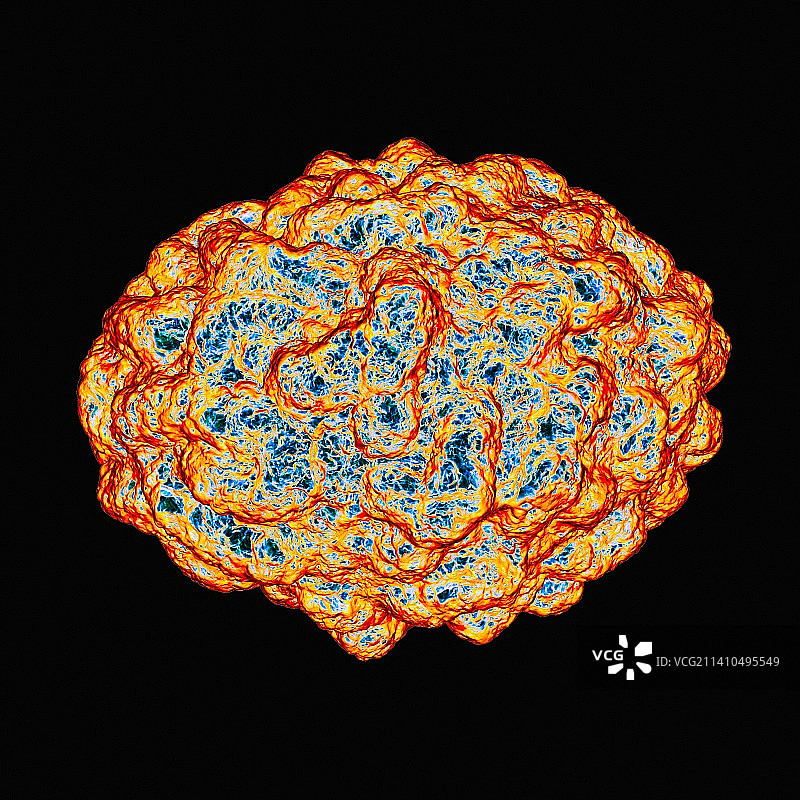 天花病毒艺术图图片素材