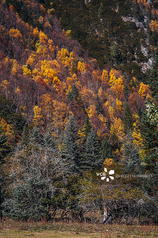 丹巴党岭村和沿途的秋色图片素材