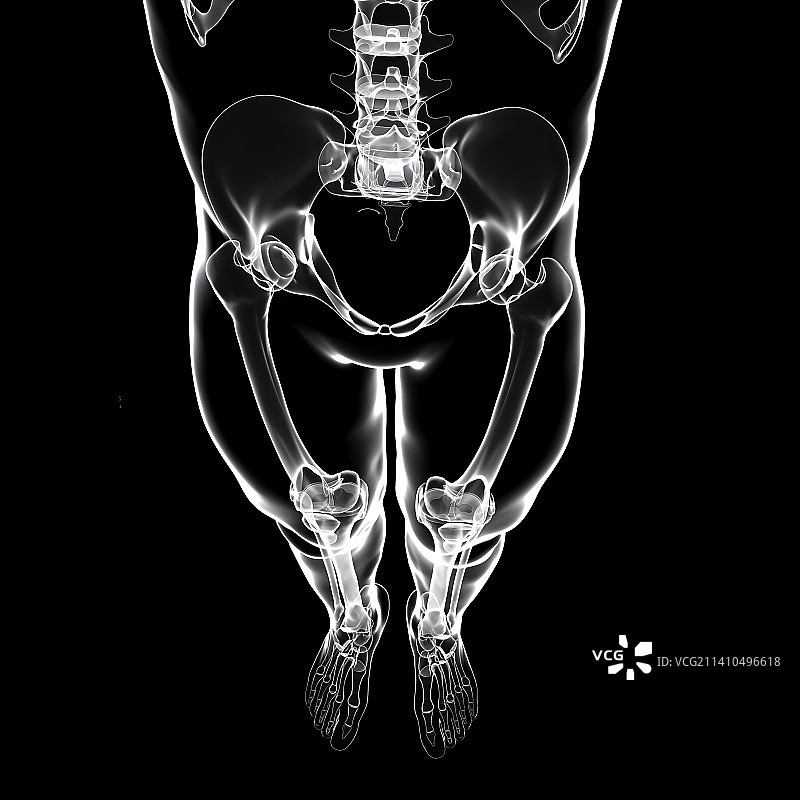 人类骨骼系统，艺术品图片素材