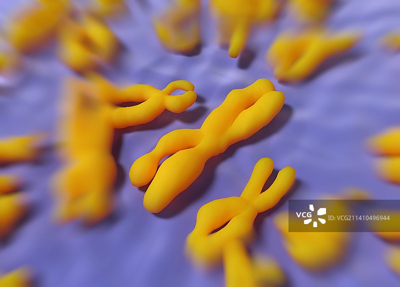 人类染色体艺术图图片素材