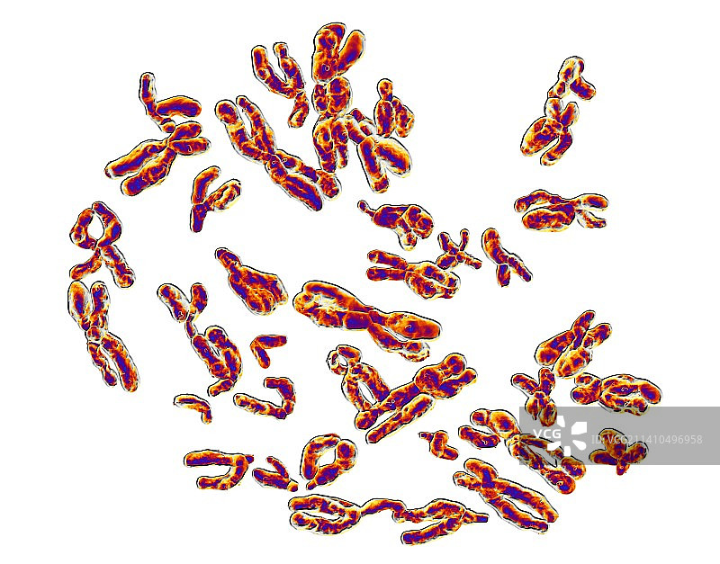 人类染色体艺术图图片素材