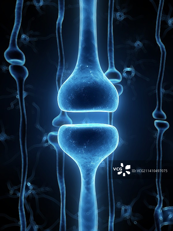 人类突触艺术图图片素材