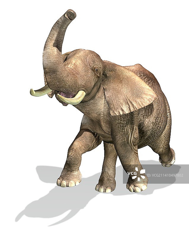 大象艺术作品图片素材