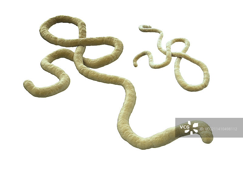 埃博拉病毒艺术图图片素材