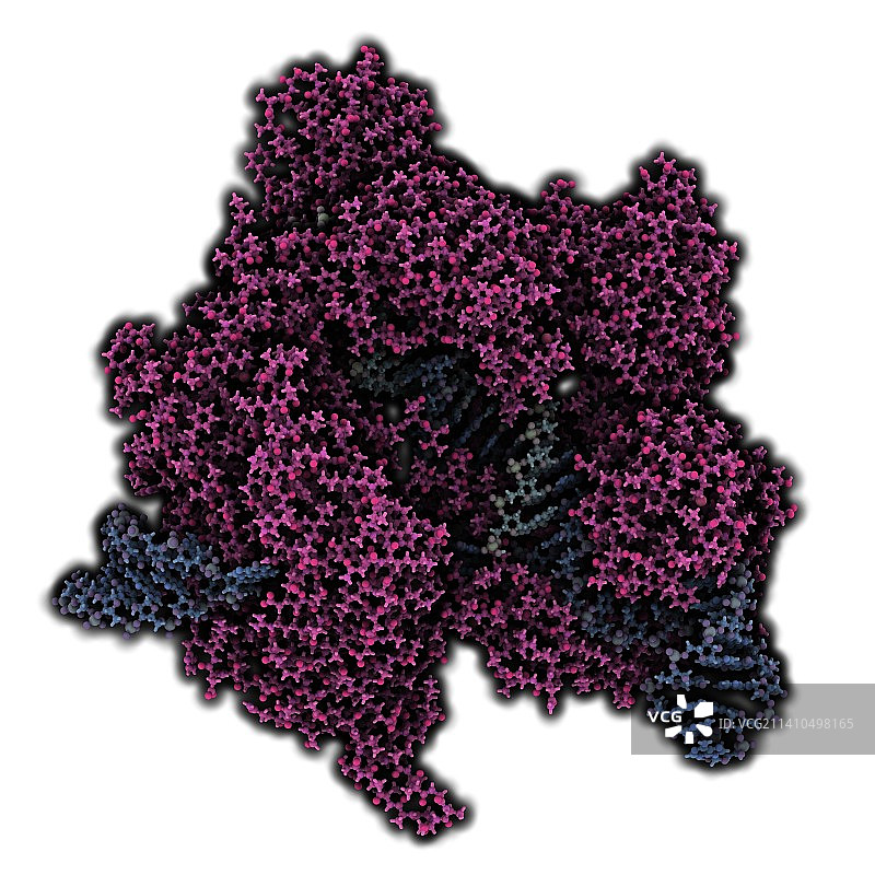 CRISPR-CAS9基因编辑复合物图片素材
