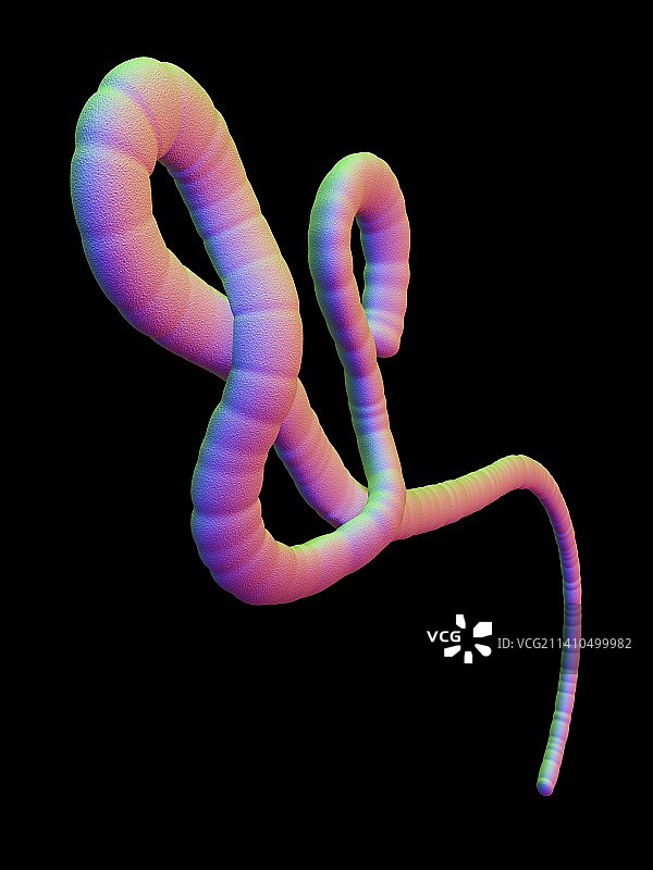 埃博拉病毒艺术图图片素材