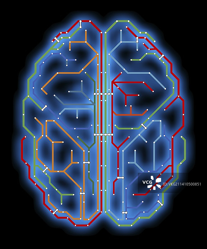 大脑，网络图图片素材