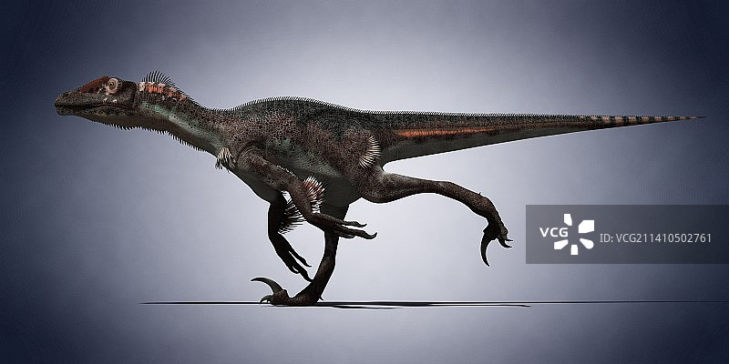 恐龙插画图片素材