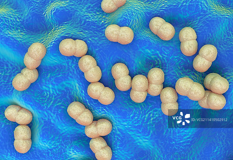 表皮葡萄球菌图片素材