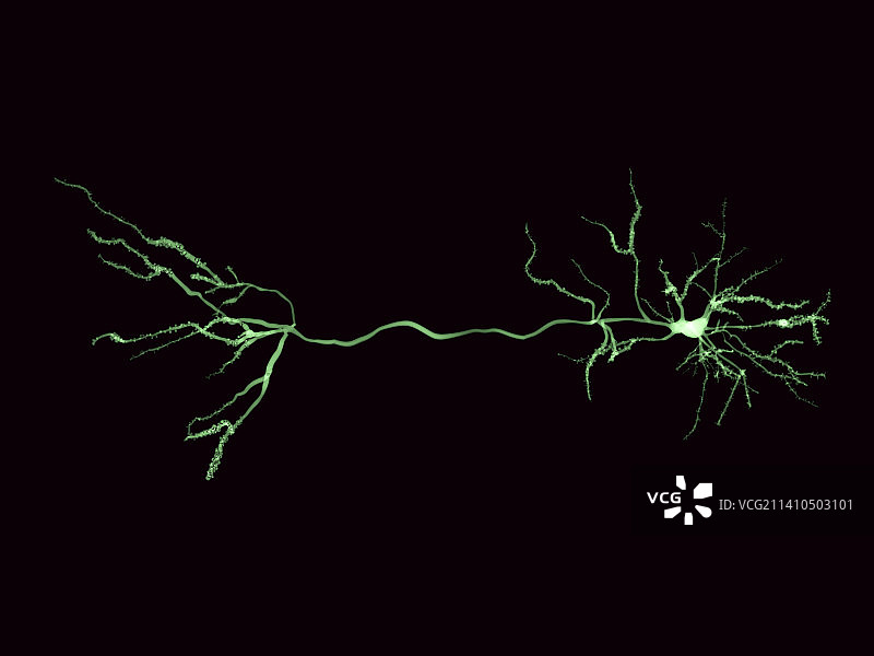 神经细胞和突触图图片素材