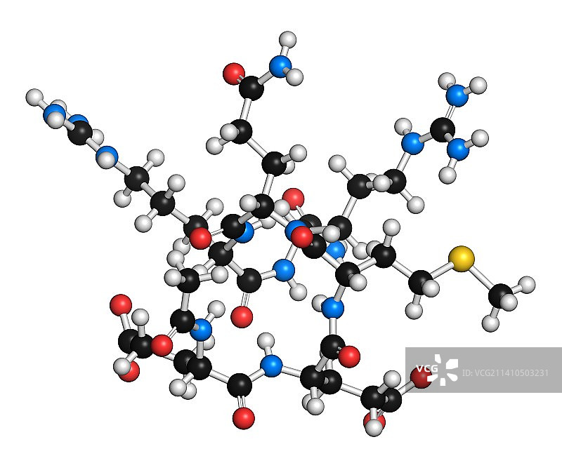 乙酰基六肽-3 分子图片素材