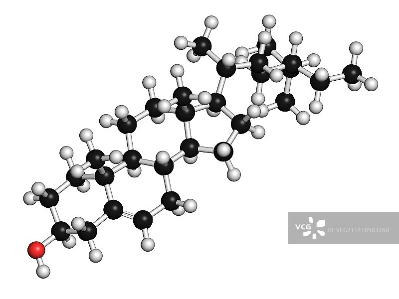 植物甾醇分子图片素材