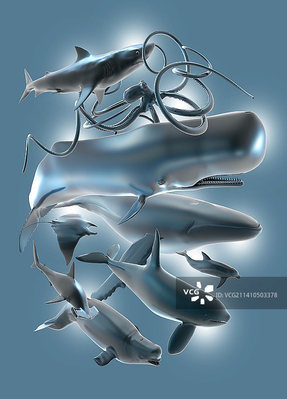 海洋生物插画图片素材