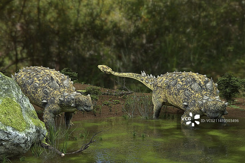 结节头龙恐龙插图图片素材