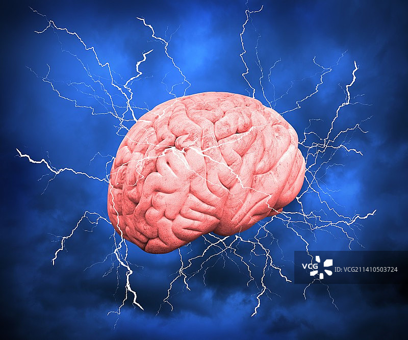 人类的大脑图片素材