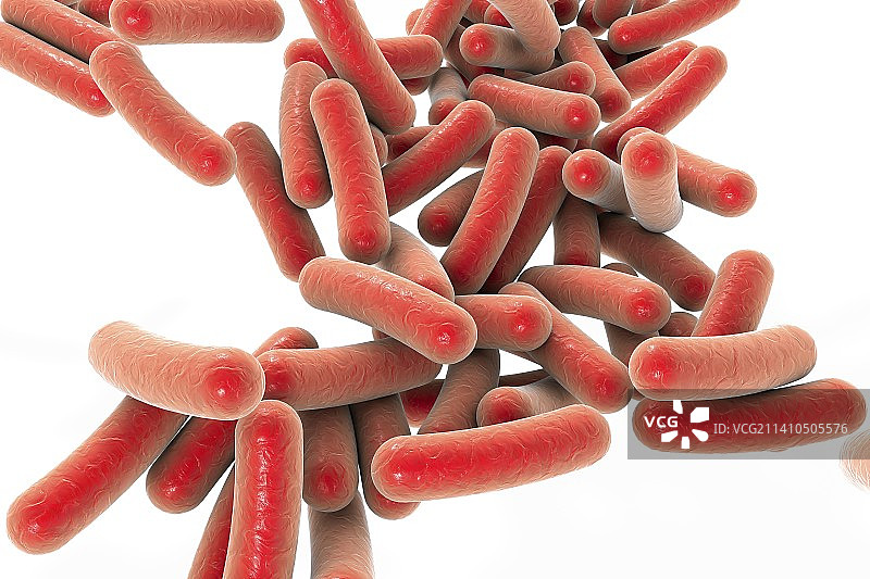 假单胞菌细菌示意图图片素材