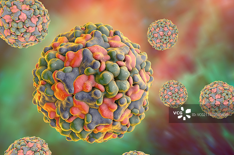 B组柯萨奇病毒，图示图片素材