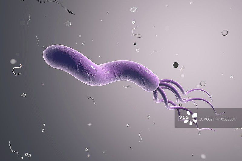 幽门螺杆菌图片素材