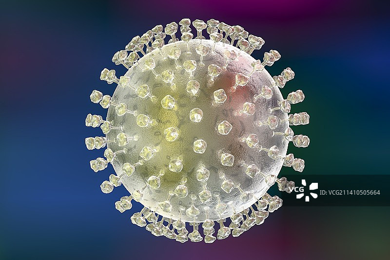 寨卡病毒，图示图片素材