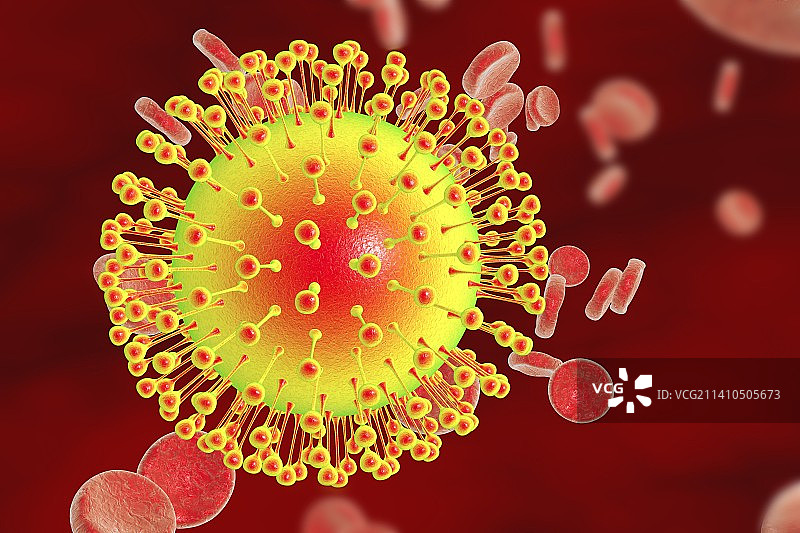 血液中寨卡病毒插画图片素材