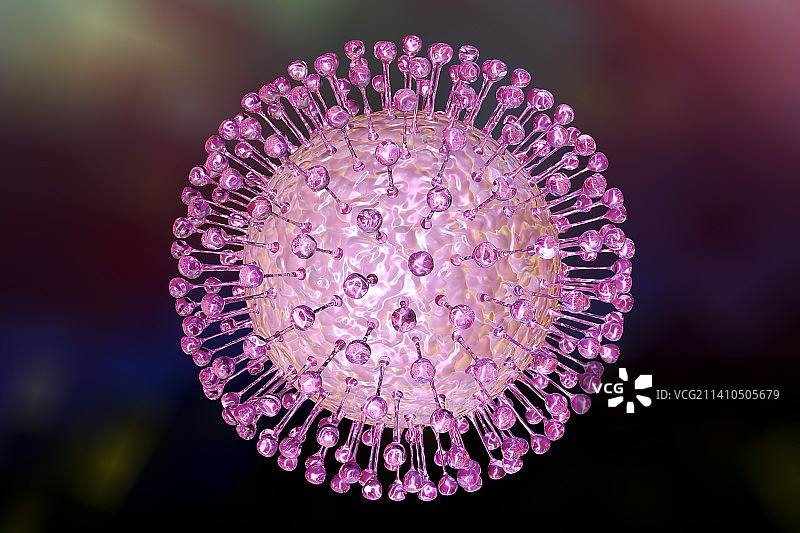 寨卡病毒，图示图片素材