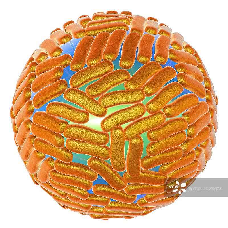 寨卡病毒，图示图片素材