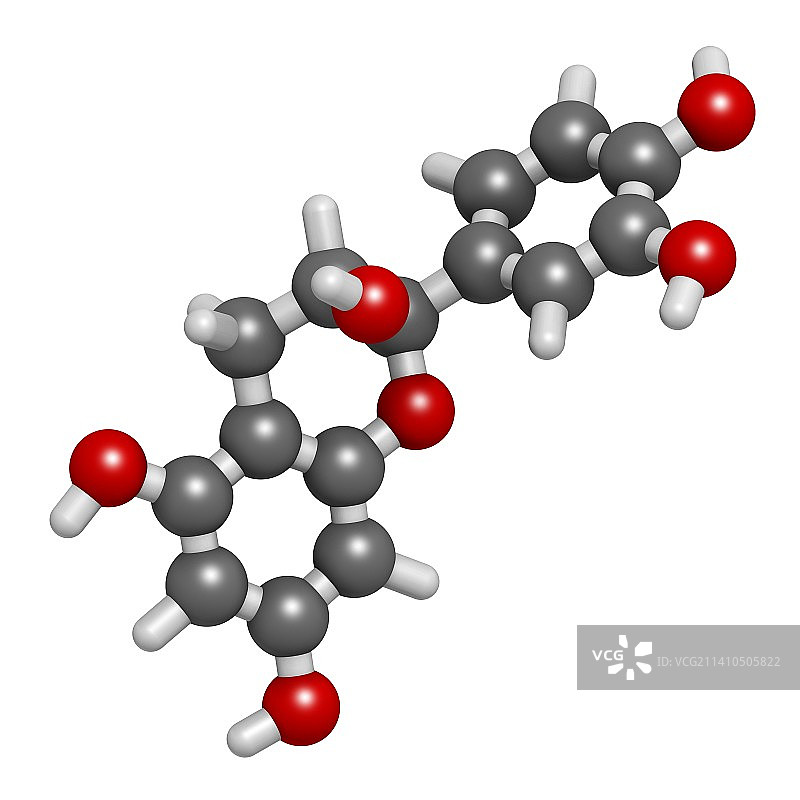 表儿茶素巧克力黄酮分子图片素材