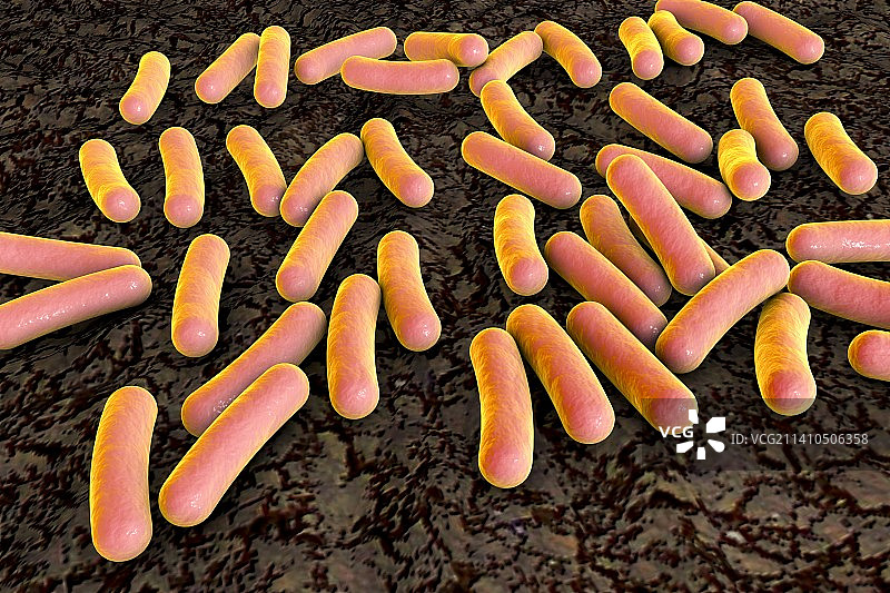 假单胞菌细菌示意图图片素材
