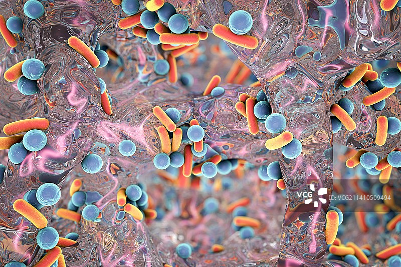 杆状细菌，图示图片素材