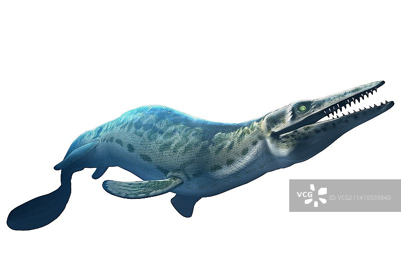 沧龙艺术图图片素材