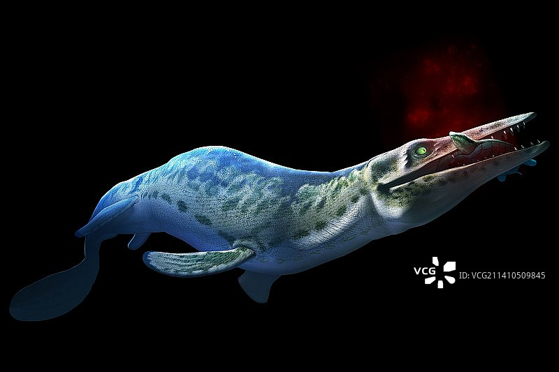 沧龙艺术图图片素材